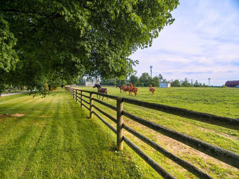 Farm & Ranch Fence Company in Fort Worth, TX